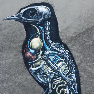 Man I'm on Fire (Inst.)