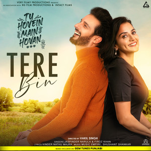 Tere Bin (From "Tu Hovein Main Hovan")