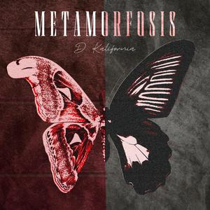 METAMORFOSIS (Explicit)