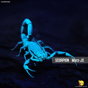 Scorpion (Original Mix)