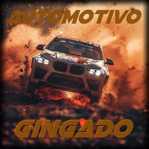 AUTOMOTIVO GINGADO