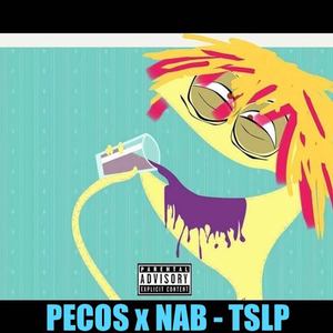 PECOS x NAB - TSLP