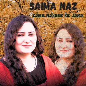 Zama Naseeb Ke Jara