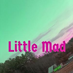 Little Mad (Explicit)