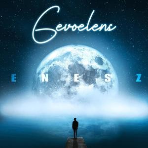 Gevoelens (Explicit)