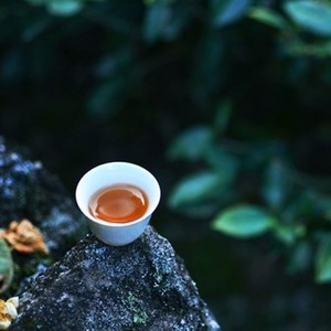 Short Island Iced Tea