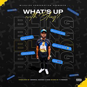 What's Up With Bling? (Explicit)