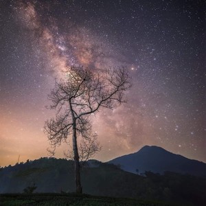 So Fine (feat. Tintin & LowK) (Explicit)