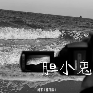 胆小鬼(喜欢看你紧紧皱眉)-柯宇(孙泽耀)