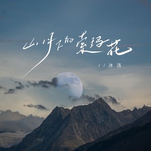 山月下的索玛花