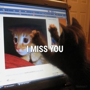 Papatyalar Verdim Sana Tatlim