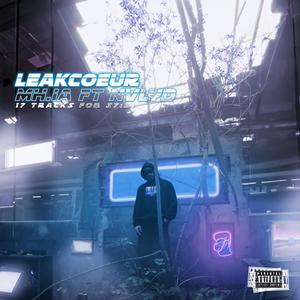 LEAKCOEUR (Explicit)