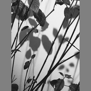 半句再见-张小晴