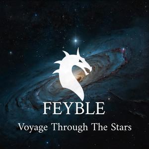 Voyage Through The Stars