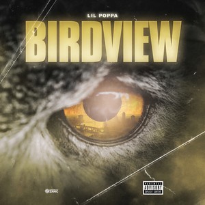 Birdview (Explicit)