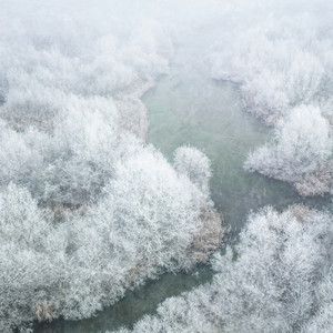 Finding Light (Joy to the World)