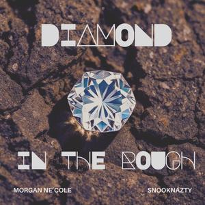 Diamond In The Rough (feat. SnookNazty) (Explicit)