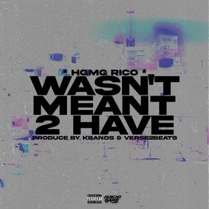 Wasn't Meant 2 Have (Explicit)