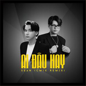 Ai Đâu Hay(feat. CM1X) (Remix)