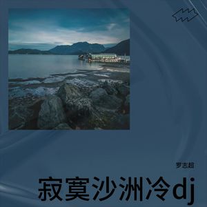 外文车载酒吧蹦迪专用2020DJ串烧嗨曲 (remix: 张一阳|DJ阿福|张金金先森|罗志超 remix|Remix)
