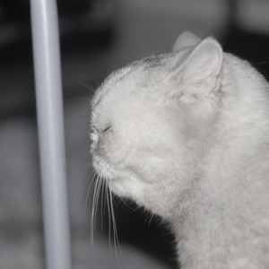 Hate to Sell Oneself