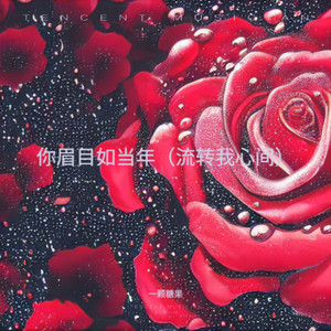 你眉目如当年（流转我心间）