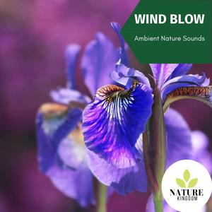 Wind Blow - Ambient Nature Sounds