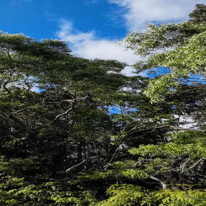 Lost Town (feat. Daniel k)