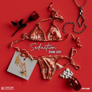 Seduction (Explicit)