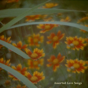 Assorted Love Songs (Explicit)