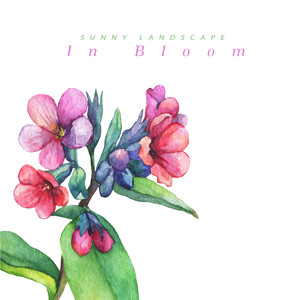 사랑의 꽃 한 송이 (A Flower Of Love)