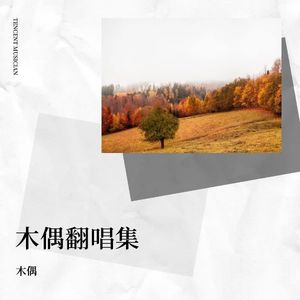 杀死那个石家庄人Guitar&Voice&Drum封面