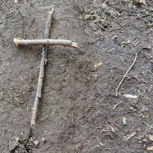 The Creator - MUDDY MELODIES (Explicit)