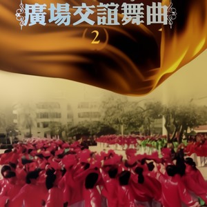 新鸳鸯蝴蝶梦 - 群星封面