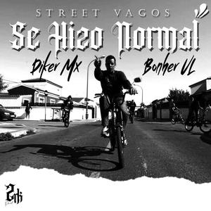 Se Hizo Normal (feat. Bonher VL) (Explicit)