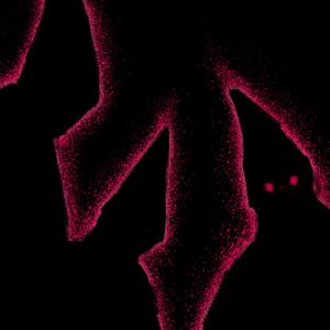 They Had Me Freestyle (Explicit)