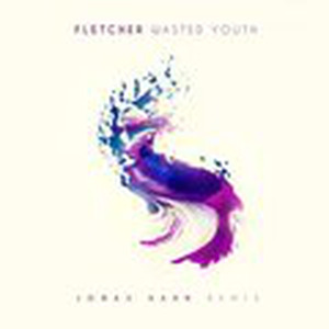 Wasted Youth (Jonas Hahn Remix)