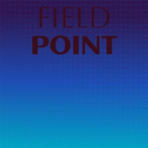 Field Point