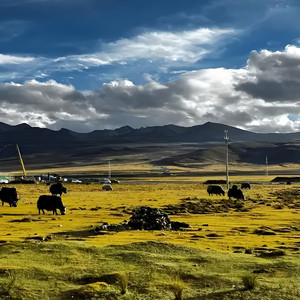 这一程 - 香巴拉未抵达