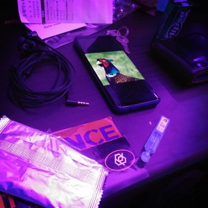 금요일 밤 (周五晚上)