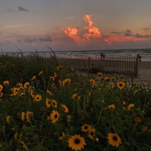 tired(feat. cyz) (Explicit)