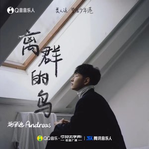 离群的鸟