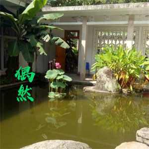 偶然相遇