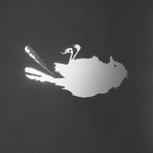 Vigilantes del Espejo