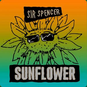 Sunflower (feat. Chrissi Poland) (Acoustic)