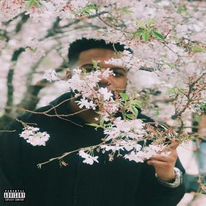 Playas Go (Album version)