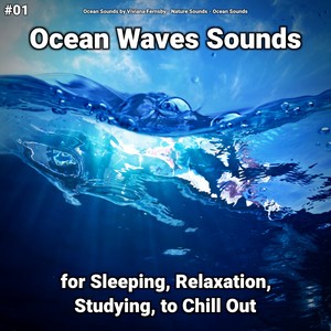 Ocean Waves Sounds Part 12