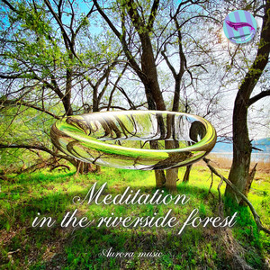 Meditation in the riverside forest