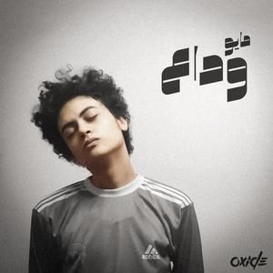 Wada3