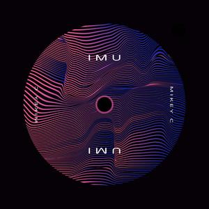 IMU